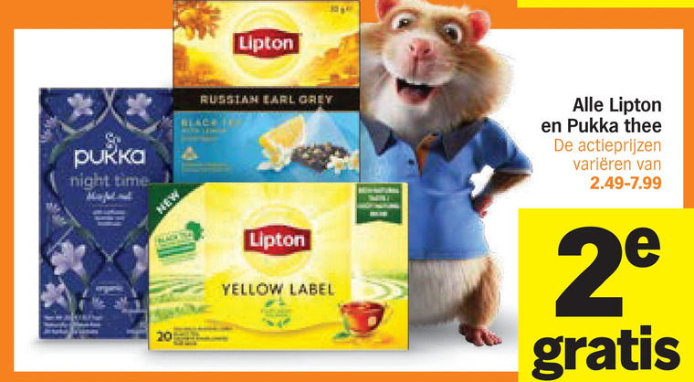 Pukka   thee folder aanbieding bij  Albert&nbsp;Heijn - details