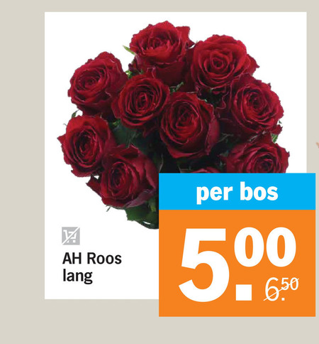 rozen 5000 roos lang bos folder aanbieding bij Albert Heijn