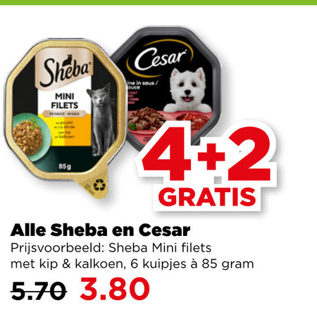 Sheba   hondenvoer, kattenvoer folder aanbieding bij  Plus - details