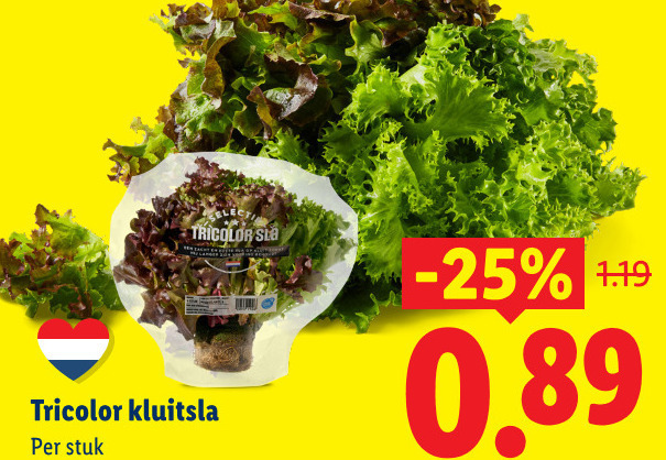 sla tricolor kluitsla stuk folder aanbieding bij Lidl