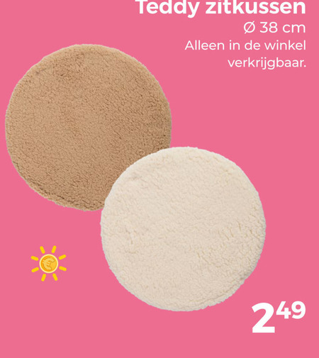 zitkussen teddy cm folder aanbieding bij Trekpleister