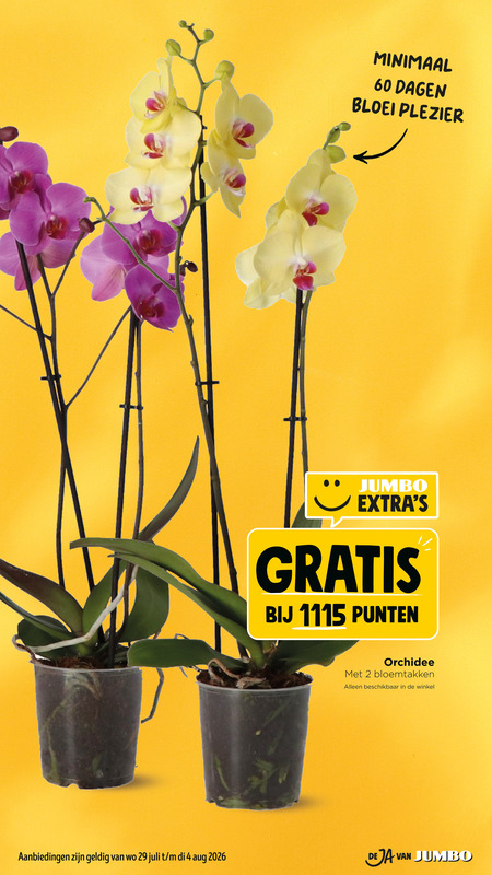 orchidee 2 4 60 minimaal dagen bloei plezier jumbo punten bloemtakken beschikbaar folder aanbieding bij Jumbo