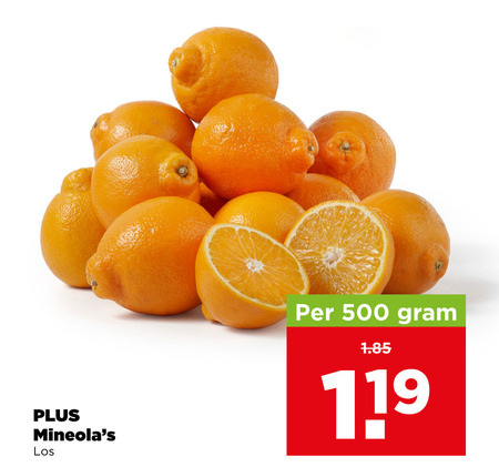mineola 500 folder aanbieding bij Plus