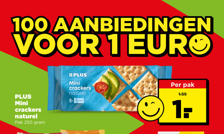crackers 1 100 250 mini naturel pak 8x folder aanbieding bij Plus