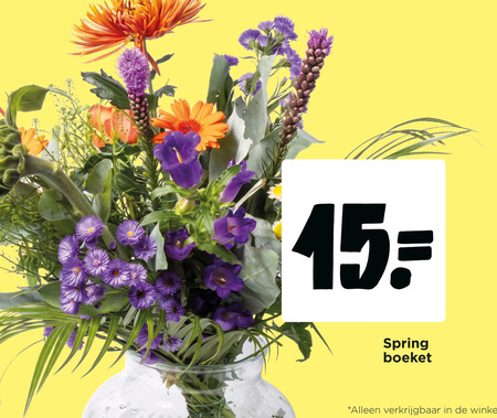 boeket 15 spring folder aanbieding bij Jumbo