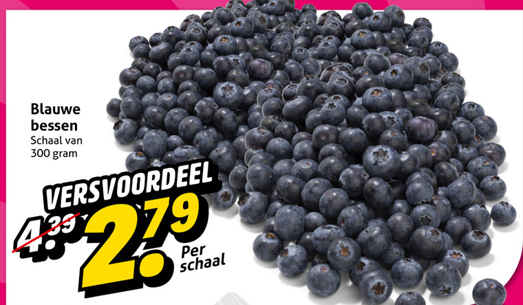 blauwe bessen 279 300 schaal versvoordeel folder aanbieding bij Hoogvliet