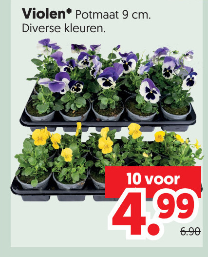 violen 9 10 potmaat cm kleuren folder aanbieding bij Dekamarkt