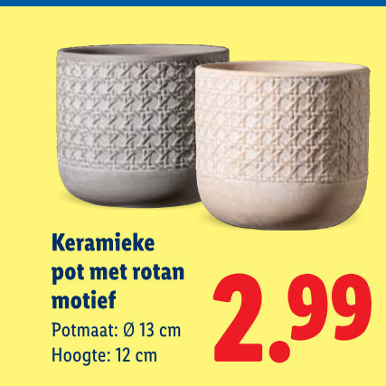 bloempotten 12 13 keramieke pot rotan motief potmaat cm hoogte folder aanbieding bij Lidl