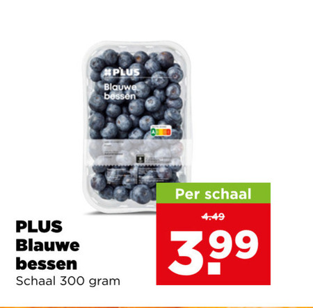 blauwe bessen 300 schaal folder aanbieding bij Plus