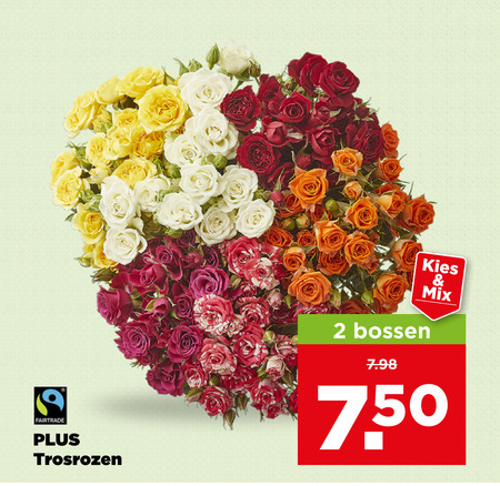 rozen 2 fairtrade trosrozen bossen mix folder aanbieding bij Plus