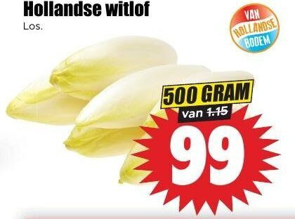 witlof 99 500 hollandse bodem folder aanbieding bij Dirk
