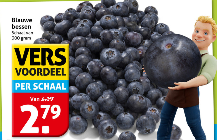 blauwe bessen 279 300 schaal vers voordeel folder aanbieding bij Hoogvliet