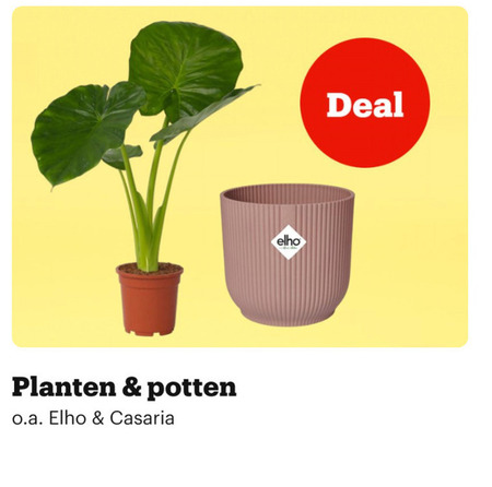 bloempotten elho deal planten potten o.a. folder aanbieding bij Bol.com