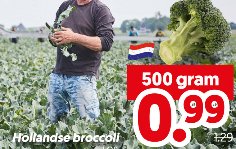 broccoli 500 hollandse folder aanbieding bij Dekamarkt