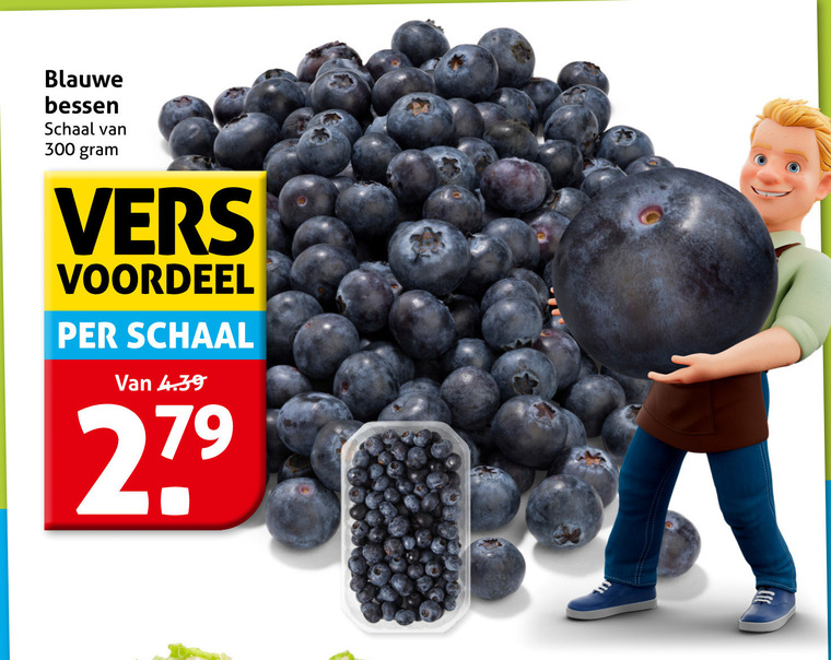 blauwe bessen 279 300 schaal vers voordeel folder aanbieding bij Hoogvliet