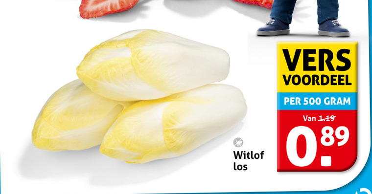 witlof 500 vers voordeel folder aanbieding bij Hoogvliet