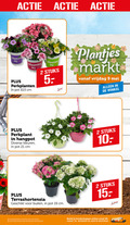 klik op dit plaatje voor een vergroting en voor vergelijkbare aanbiedingen gerelateerd aan ` 2 9 15 19 40 perkplanten pot 10 5 cm stuks plantjes markt vrijdag perkplant hangpot kleuren terrashortensia buiten varieeren kassa online `  2 9 15 19 40 perkplanten pot 10 5 cm stuks plantjes markt vrijdag perkplant hangpot kleuren terrashortensia buiten varieeren kassa online