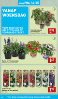 klik op dit plaatje voor een vergroting en voor vergelijkbare aanbiedingen gerelateerd aan ` 10 12 26 woensdag vruchtdragende groenteplant potmaat cm stuk salvia petunia peppy gardenline balkon terrasplant `  10 12 26 woensdag vruchtdragende groenteplant potmaat cm stuk salvia petunia peppy gardenline balkon terrasplant