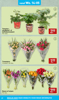 klik op dit plaatje voor een vergroting en voor vergelijkbare aanbiedingen gerelateerd aan ` rozen tulpen 10 27 tomaten aardbeien stuk trosanjers stelen bos strawberry arabica tomato bloemen men bekijk `  rozen tulpen 10 27 tomaten aardbeien stuk trosanjers stelen bos strawberry arabica tomato bloemen men bekijk