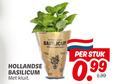 klik op dit plaatje voor een vergroting en voor vergelijkbare aanbiedingen gerelateerd aan ` kruidenplanten hollandse basilicum kluit pet stuk `  kruidenplanten hollandse basilicum kluit pet stuk