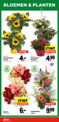 klik op dit plaatje voor een vergroting en voor vergelijkbare aanbiedingen gerelateerd aan ` 2 9 13 bloemen planten zonnebloem pot potmaat cm stuks hangplant petunia stuk dagen rozen bos stelen comfort bossen veldboeket luna ` 2 9 13 bloemen planten zonnebloem pot potmaat cm stuks hangplant petunia stuk dagen rozen bos stelen comfort bossen veldboeket luna
