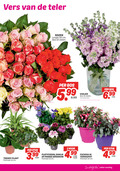 klik op dit plaatje voor een vergroting en voor vergelijkbare aanbiedingen gerelateerd aan ` 2 10 12 19 50 vers teler trendy plant potmaat cm rozen lengte bos stelen 5.99 violier vaas stuk 3.99 dahlia franse geranium fuchsia terraspot eten ` 2 10 12 19 50 vers teler trendy plant potmaat cm rozen lengte bos stelen 5.99 violier vaas stuk 3.99 dahlia franse geranium fuchsia terraspot eten