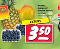 klik op dit plaatje voor een vergroting en voor vergelijkbare aanbiedingen gerelateerd aan ` blauwe bessen mango ananas 2 stuk schaal stuks ` blauwe bessen mango ananas 2 stuk schaal stuks