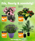 klik op dit plaatje voor een vergroting en voor vergelijkbare aanbiedingen gerelateerd aan ` 5 19 23 25 26 30 40 45 400 1000 week fris fleurig pioenrozen bos stelen tuinhortensia potmaat cm hoogte ca. pot 10 lavendel buiten palm puur voordeel supermarkten `  5 19 23 25 26 30 40 45 400 1000 week fris fleurig pioenrozen bos stelen tuinhortensia potmaat cm hoogte ca. pot 10 lavendel buiten palm puur voordeel supermarkten