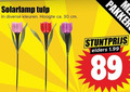 klik op dit plaatje voor een vergroting en voor vergelijkbare aanbiedingen gerelateerd aan ` 30 solarlamp tulp kleuren hoogte ca. cm pakkers elders ` 30 solarlamp tulp kleuren hoogte ca. cm pakkers elders
