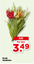 klik op dit plaatje voor een vergroting en voor vergelijkbare aanbiedingen gerelateerd aan ` 3.99 bos gladiolen ` 3.99 bos gladiolen