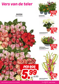 klik op dit plaatje voor een vergroting en voor vergelijkbare aanbiedingen gerelateerd aan ` 5 10 19 vers teler rozen bos stelen potmaat cm tuinhortensia stuk zinken schaal 9 99 5.99 mini gladiolen eten winkels tuinafdeling `  5 10 19 vers teler rozen bos stelen potmaat cm tuinhortensia stuk zinken schaal 9 99 5.99 mini gladiolen eten winkels tuinafdeling