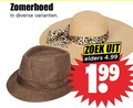 klik op dit plaatje voor een vergroting en voor vergelijkbare aanbiedingen gerelateerd aan ` zomerhoed zoek elders ` zomerhoed zoek elders