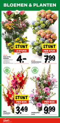 klik op dit plaatje voor een vergroting en voor vergelijkbare aanbiedingen gerelateerd aan ` 2 8 12 13 23 bloemen planten mix chrysant gerbera lavendel zonnebloem potmaat cm stuks tuinhortensia stuk dagen mini gladiolen bos stelen 3.99 veldboeket luna `  2 8 12 13 23 bloemen planten mix chrysant gerbera lavendel zonnebloem potmaat cm stuks tuinhortensia stuk dagen mini gladiolen bos stelen 3.99 veldboeket luna