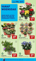 klik op dit plaatje voor een vergroting en voor vergelijkbare aanbiedingen gerelateerd aan ` 6 7 9 12 27 woensdag begonia potmaat cm stuk mini campanula gentiana nederland kassa ` 6 7 9 12 27 woensdag begonia potmaat cm stuk mini campanula gentiana nederland kassa