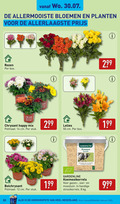 klik op dit plaatje voor een vergroting en voor vergelijkbare aanbiedingen gerelateerd aan ` 8 12 14 33 50 allermooiste bloemen planten rozen bos am my recycled recyclable chrysant happy mix potmaat cm stuk lelies bolchrysant gardenline koemest korrels gazon sier moestuin gewicht koemestkorrels gazonmest bio nederland kassa `  8 12 14 33 50 allermooiste bloemen planten rozen bos am my recycled recyclable chrysant happy mix potmaat cm stuk lelies bolchrysant gardenline koemest korrels gazon sier moestuin gewicht koemestkorrels gazonmest bio nederland kassa
