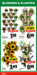 klik op dit plaatje voor een vergroting en voor vergelijkbare aanbiedingen gerelateerd aan ` 5 9 17 bloemen planten zinken potje potmaat cm stuk zonnehoed zomerbloeiende vaste tuinplant 6 99 dagen vaas zonne bos stelen veldboeket luna ` 5 9 17 bloemen planten zinken potje potmaat cm stuk zonnehoed zomerbloeiende vaste tuinplant 6 99 dagen vaas zonne bos stelen veldboeket luna