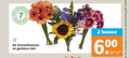 klik op dit plaatje voor een vergroting en voor vergelijkbare aanbiedingen gerelateerd aan ` 2 6 7 dagen zomerbloemen gerbera mini bossen 00 productvarianten combineren ` 2 6 7 dagen zomerbloemen gerbera mini bossen 00 productvarianten combineren