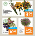 klik op dit plaatje voor een vergroting en voor vergelijkbare aanbiedingen gerelateerd aan ` 1 2 50 dagen zonnebloemen zonnebloemenboeket gladiolen bos varieeren 3 recycle eustoma bossen 10 bolvorm chrysanten stuks combinatie productvarianten `  1 2 50 dagen zonnebloemen zonnebloemenboeket gladiolen bos varieeren 3 recycle eustoma bossen 10 bolvorm chrysanten stuks combinatie productvarianten