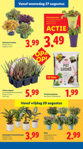 klik op dit plaatje voor een vergroting en voor vergelijkbare aanbiedingen gerelateerd aan ` 6 10 11 15 25 27 30 34 woensdag heuchera premium potmaat cm hoogte ca. vleesetende plant 5 3.99 pot grond binnen buitenplanten liter planten caluna vulgaris kleurencombinaties tray stuks 5.99 potgrond vrijdag kamerplant keramische groenblijvende heester `  6 10 11 15 25 27 30 34 woensdag heuchera premium potmaat cm hoogte ca. vleesetende plant 5 3.99 pot grond binnen buitenplanten liter planten caluna vulgaris kleurencombinaties tray stuks 5.99 potgrond vrijdag kamerplant keramische groenblijvende heester