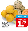klik op dit plaatje voor een vergroting en voor vergelijkbare aanbiedingen gerelateerd aan ` galia cantaloupe meloen stuk 17 ` galia cantaloupe meloen stuk 17