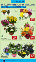 klik op dit plaatje voor een vergroting en voor vergelijkbare aanbiedingen gerelateerd aan ` 10 19 35 allermooiste bloemen planten am recycled recyclable recycle mam chrysanten bos bolchrysant potmaat cm stuk rozen najaarsviolen pack nederland kassa `  10 19 35 allermooiste bloemen planten am recycled recyclable recycle mam chrysanten bos bolchrysant potmaat cm stuk rozen najaarsviolen pack nederland kassa