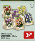 klik op dit plaatje voor een vergroting en voor vergelijkbare aanbiedingen gerelateerd aan ` gardenline tulpen garde narcissen gemengd pastel bloembollen xxl stuks blauwe druifjes `  gardenline tulpen garde narcissen gemengd pastel bloembollen xxl stuks blauwe druifjes