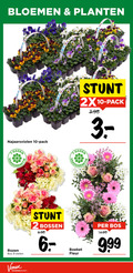 klik op dit plaatje voor een vergroting en voor vergelijkbare aanbiedingen gerelateerd aan ` 2 9 10 bloemen planten najaarsviolen pack dagen 2x rozen bos stelen bossen mount boeket fleur ` 2 9 10 bloemen planten najaarsviolen pack dagen 2x rozen bos stelen bossen mount boeket fleur