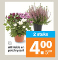 klik op dit plaatje voor een vergroting en voor vergelijkbare aanbiedingen gerelateerd aan ` potchrysant heideplanten 2 heide stuks 4 ` potchrysant heideplanten 2 heide stuks 4