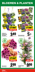 klik op dit plaatje voor een vergroting en voor vergelijkbare aanbiedingen gerelateerd aan ` violen bloembollen boeket 4 5 10 19 25 bloemen planten gekleurde hangpot potmaat cm stuk 5.99 zak stuks zakken dagen vaas bos stelen veldboeket luna mount `  violen bloembollen boeket 4 5 10 19 25 bloemen planten gekleurde hangpot potmaat cm stuk 5.99 zak stuks zakken dagen vaas bos stelen veldboeket luna mount