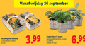 klik op dit plaatje voor een vergroting en voor vergelijkbare aanbiedingen gerelateerd aan ` kamerplanten 14 26 vrijdag mand stuk 3.99 kamerplant monstera calathea potmaat cm ` kamerplanten 14 26 vrijdag mand stuk 3.99 kamerplant monstera calathea potmaat cm