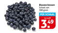 klik op dit plaatje voor een vergroting en voor vergelijkbare aanbiedingen gerelateerd aan ` blauwe bessen 300 schaal `  blauwe bessen 300 schaal