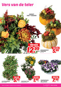 klik op dit plaatje voor een vergroting en voor vergelijkbare aanbiedingen gerelateerd aan ` 9 12 vers teler alstroemeria bos stelen boeket vier seizoen 99 arrangement pompoen stuk 5.99 chrysant pot potmaat cm winkels tuinafdeling violen eten ` 9 12 vers teler alstroemeria bos stelen boeket vier seizoen 99 arrangement pompoen stuk 5.99 chrysant pot potmaat cm winkels tuinafdeling violen eten