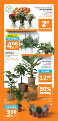 klik op dit plaatje voor een vergroting en voor vergelijkbare aanbiedingen gerelateerd aan ` boeket vetplant 1 2 12 16 40 50 100 oktober air planten potmaat cm stuk varieeren hollandse lelie koffieboeket bossen halve mand monstera groene plant spathiphyllum mini `  boeket vetplant 1 2 12 16 40 50 100 oktober air planten potmaat cm stuk varieeren hollandse lelie koffieboeket bossen halve mand monstera groene plant spathiphyllum mini