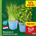 klik op dit plaatje voor een vergroting en voor vergelijkbare aanbiedingen gerelateerd aan ` 16 planet proof pot bieslook basilicum ` 16 planet proof pot bieslook basilicum
